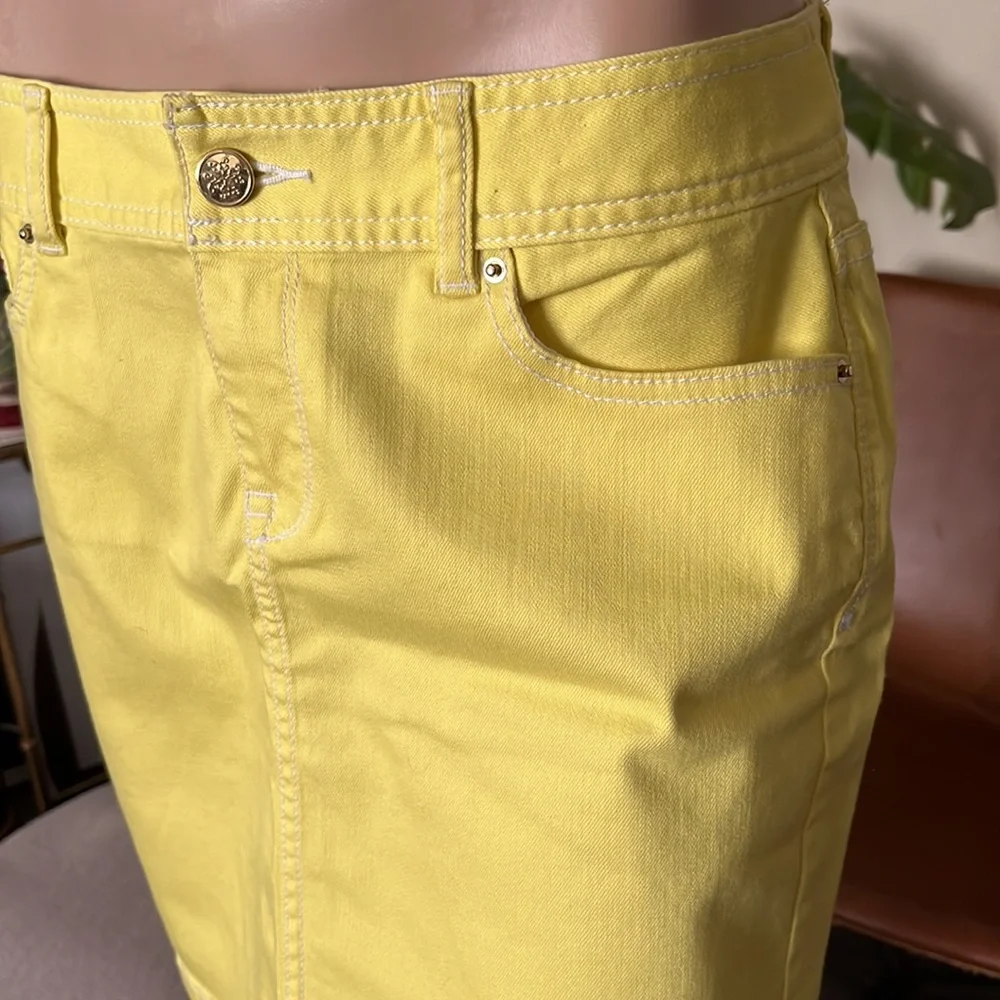CACHE Skirt (CLST)‎